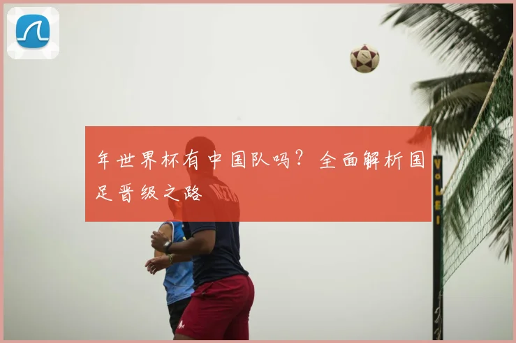 年世界杯有中国队吗?全面解析国足晋级之路