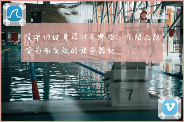 简单的健身器材有哪些:介绍几款简易而高效的健身器材