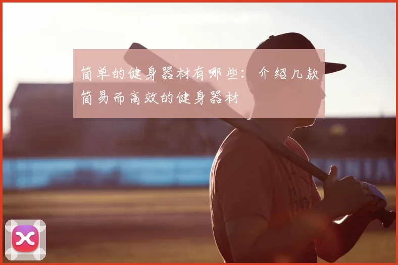 简单的健身器材有哪些:介绍几款简易而高效的健身器材